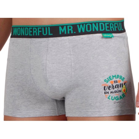 BOXER HOMBRE MR WONDERFUL