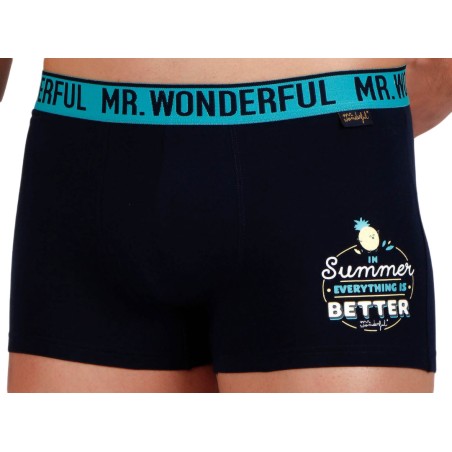 BOXER HOMBRE MR WONDERFUL